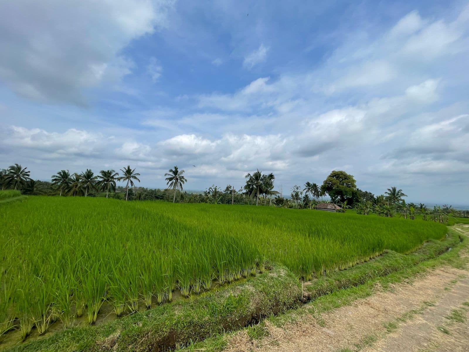 Into the Mystic: The Batukaru eBike Journey
